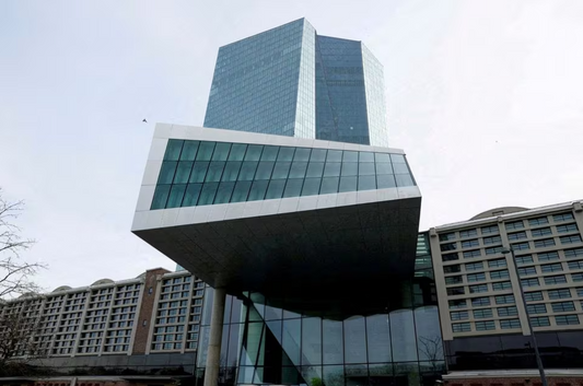 Euro zone's low productivity may slow inflation's fall - ECB's Schnabel